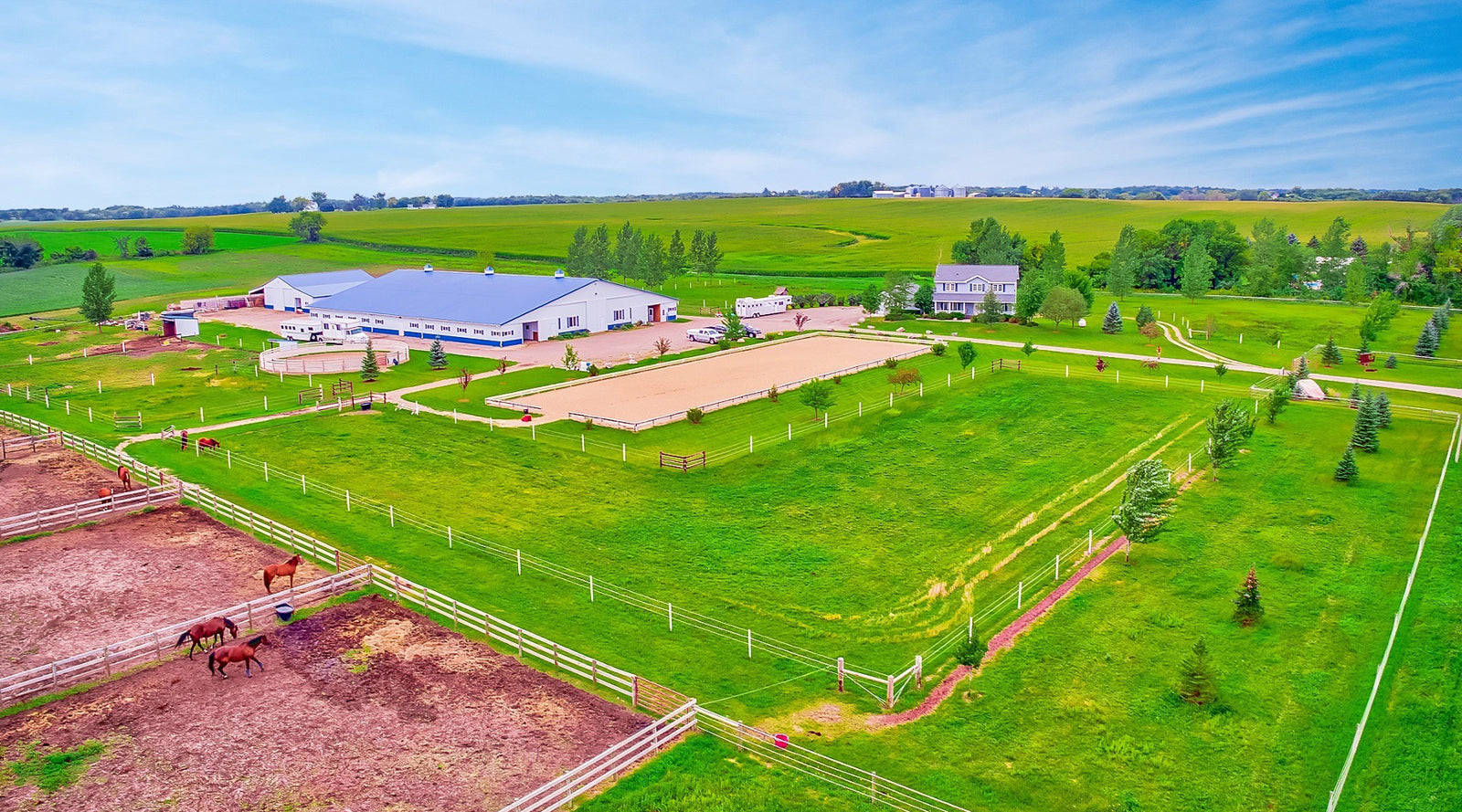 Horse Boarding Maple Lake, MN